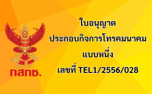 ใบอนุญาต NS