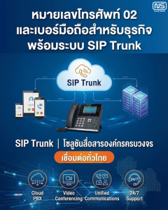 Sip Trunk